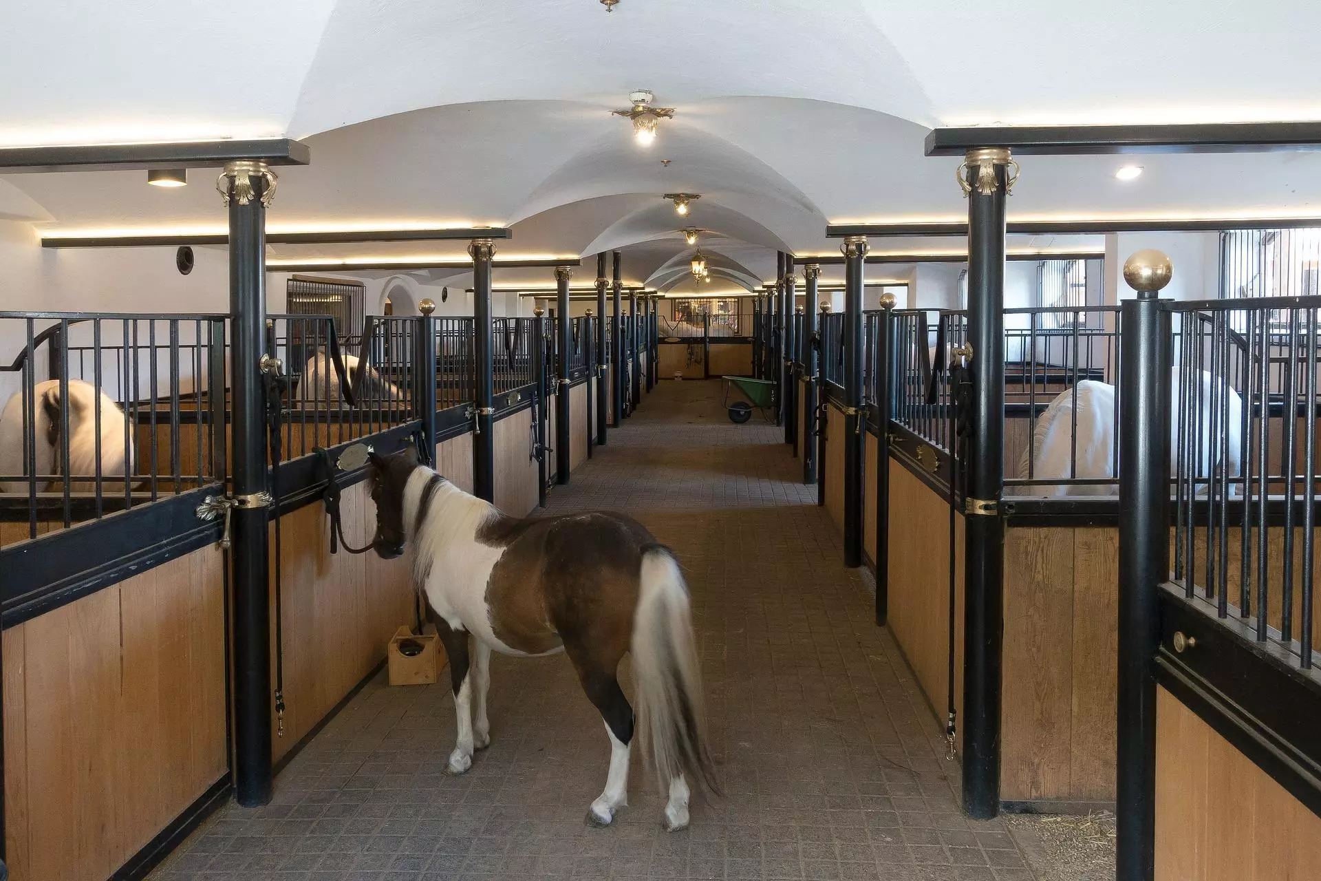 WI Horse Farms for Sale on Acreage