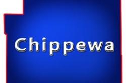 Chippewa County Wisconsin Farms for Sale WI Hobby Farmettes Farmland