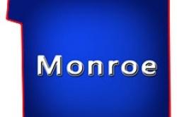 Monroe County Wisconsin Farms for Sale WI Hobby Farmettes Farmland