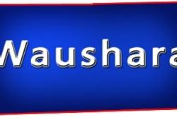 Waushara County Wisconsin Farms for Sale WI Hobby Farmettes Farmland