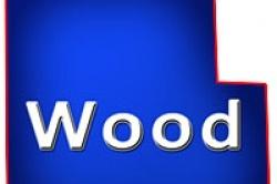 Wood County Wisconsin Farms for Sale WI Hobby Farmettes Farmland