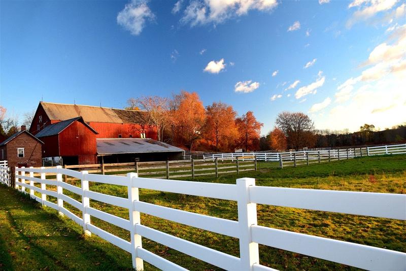 Wisconsin Homes for Sale with Farm Fencing