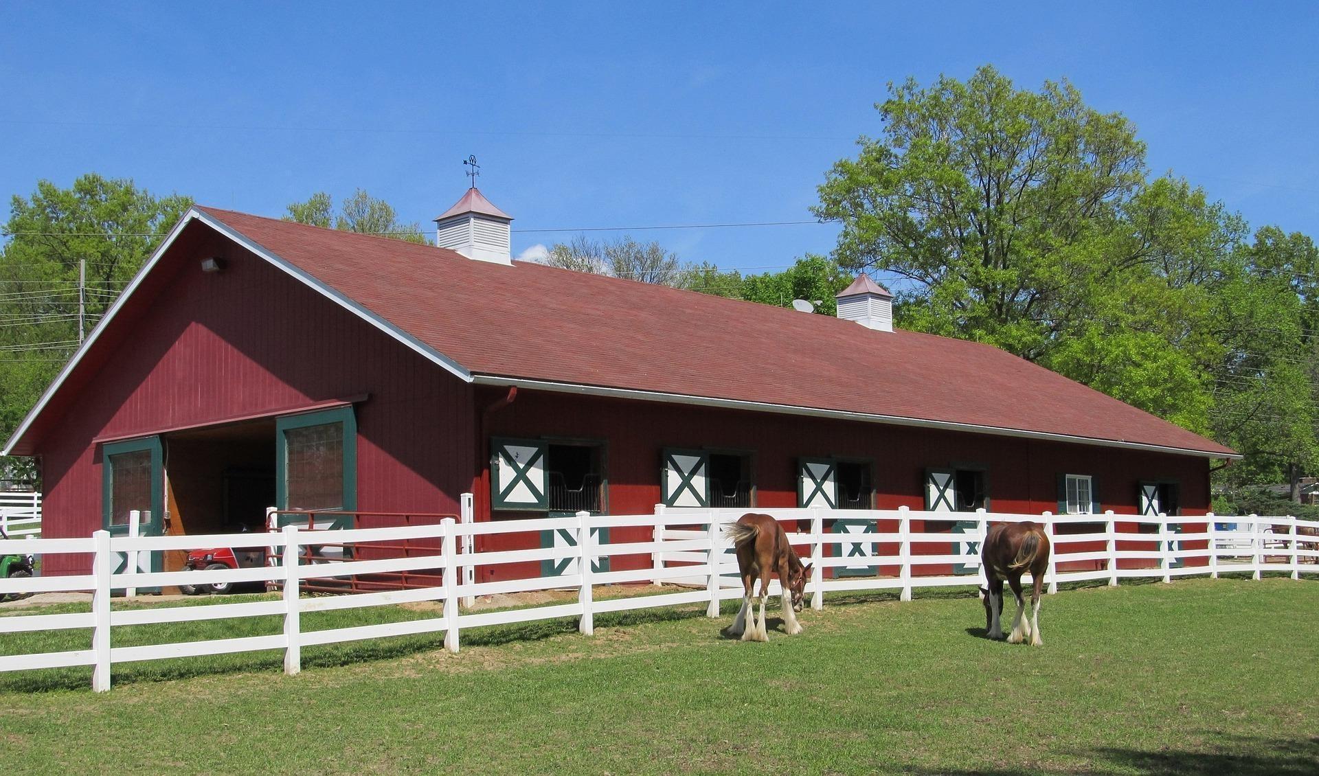 horse house