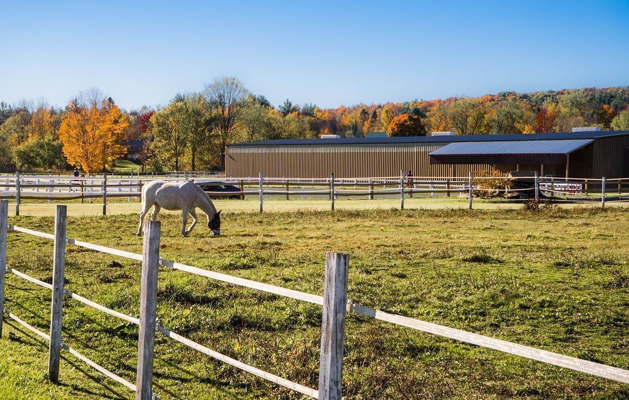 Wisconsin Horse Barns with Land for sale Horses & Acreage