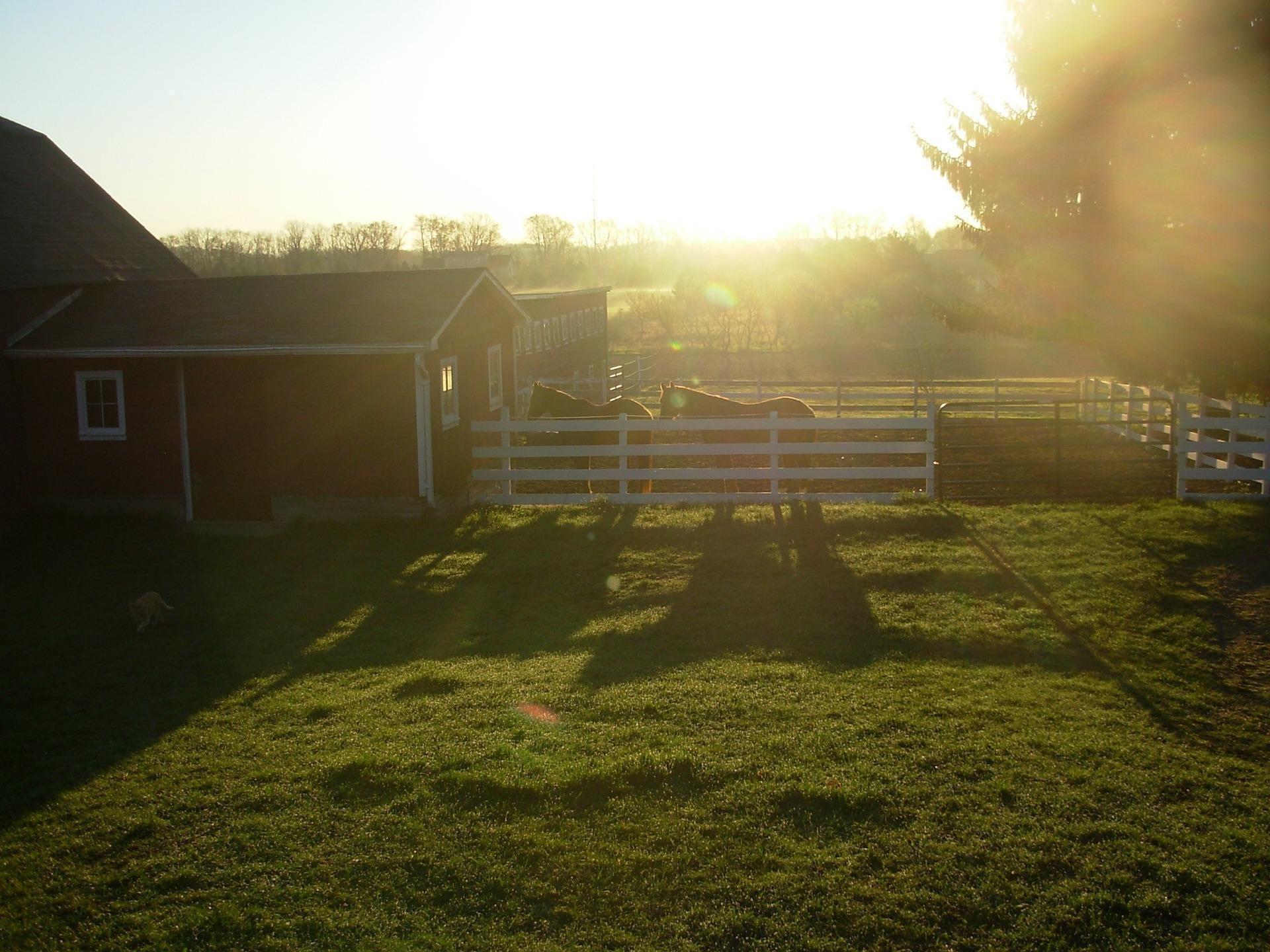 Wisconsin Horse Barns with Land for sale Horses & Acreage