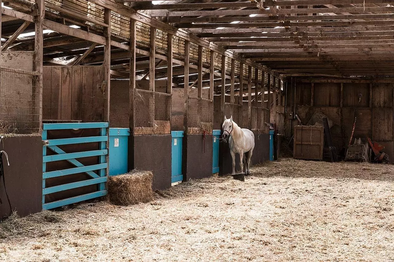Wisconsin Horse Barns with Farmhouses for sale